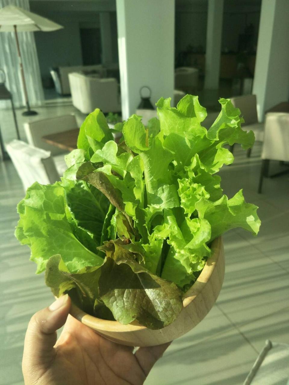 Ban Dao Ruang  The White Garden Premier Saraburi酒店 外观 照片